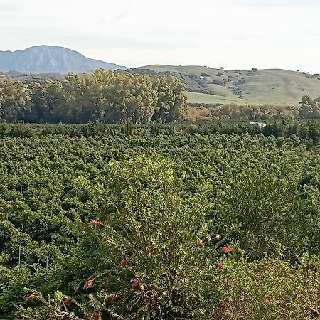Los Dos Cedros San Pablo Ngoại thất bức ảnh