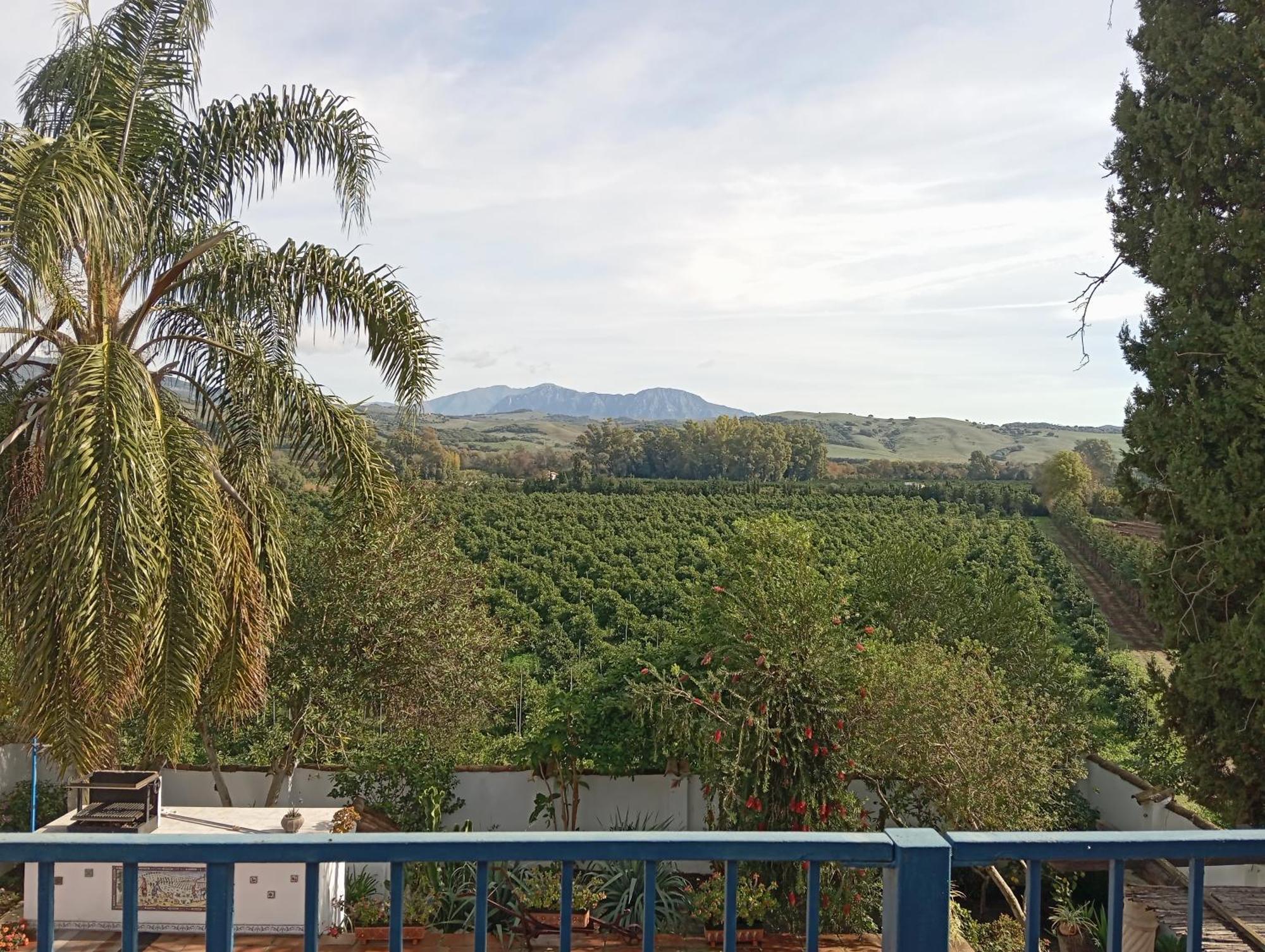Los Dos Cedros San Pablo Ngoại thất bức ảnh